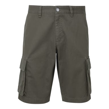 Asquith & Fox Herren Cargo Shorts (Schiefer)
