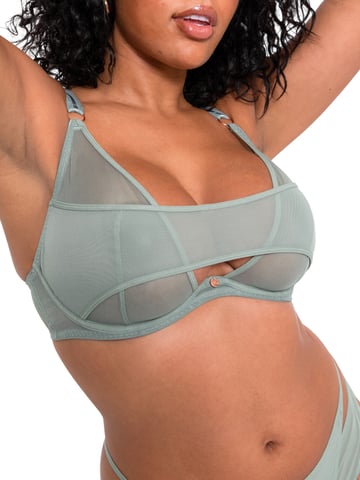 Peep Show Deep Plunge Bra