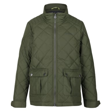 Regatta - Veste matelassée ZION - Unisexe (Vert)