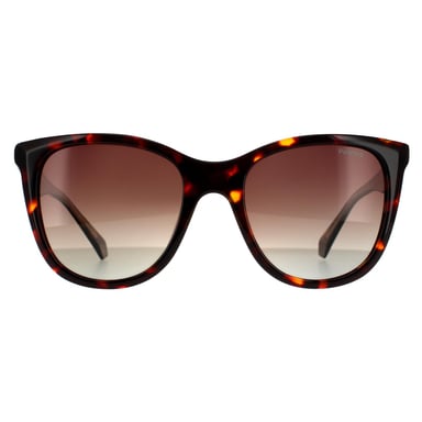 Polaroid Square Damen Havana Braun Brauner Verlauf Polarized