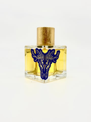 Kocha Nights 100ml EDP