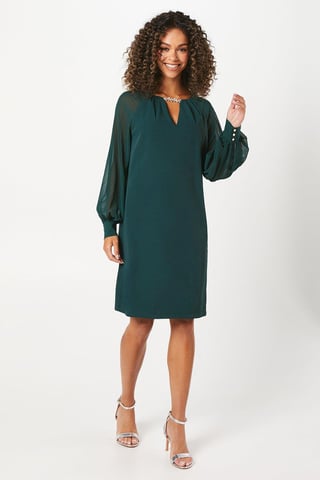 Occasion Embellished Chiffon Sleeve Shift Dress