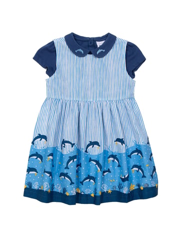 Kite Clothing Delfin-Tauchset