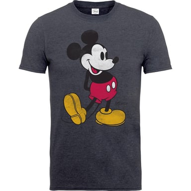 Disney - T-Shirt für Herren/Damen Unisex (Anthrazit)