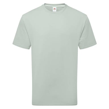 Fruit of the Loom - T-Shirt für Herren/Damen Unisex (Salbei)