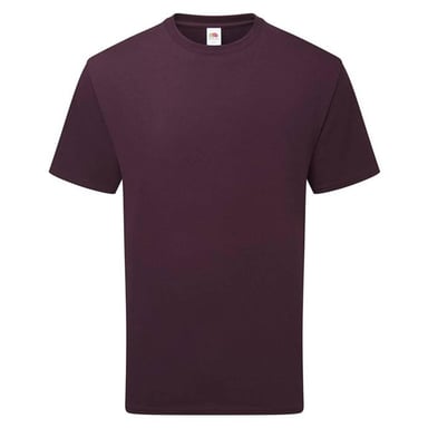 Fruit of the Loom - T-Shirt für Herren/Damen Unisex (Dunkles Pflaumenblau)