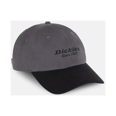 Dickies Everyday Dickies Twill Baumwolle Unisex Erwachsene Graue Baseballmützen