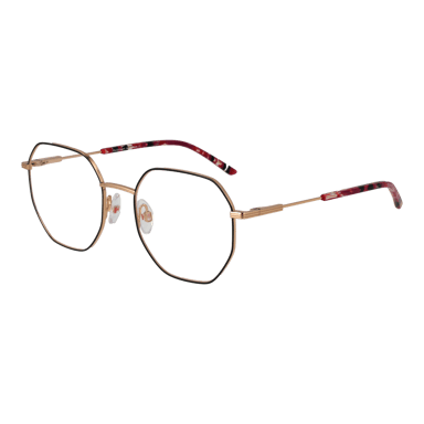 Ana Hickmann Brillenfassung HI1179 07A 51