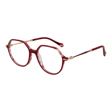 Ana Hickmann Brille AH6480 H02 52