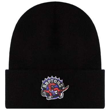 Mitchell & Ness NBA Toronto Raptors Team Logo Beanie
