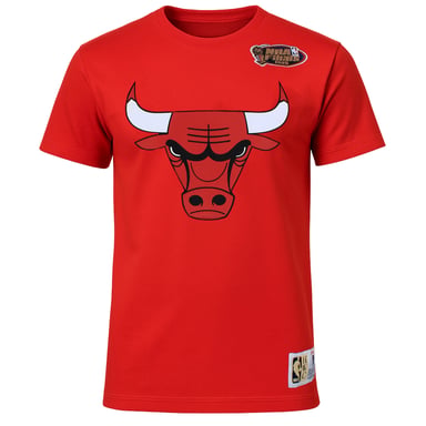 Mitchell & Ness NBA Chicago Bulls Origins Herren Rotes T-Shirt