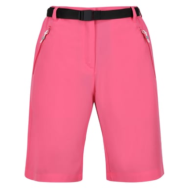 Regatta - "Xert" Shorts für Damen (Flaumfußtaube Grau)