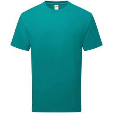 Fruit of the Loom Unisex-Erwachsene Baumwoll-T-Shirt (Meeresblau Grün)