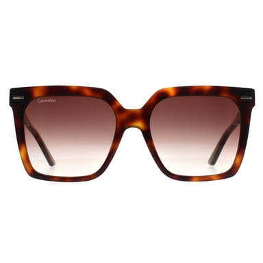 Lunettes de soleil Calvin Klein CK22534S 220 marron havane marron dégradé