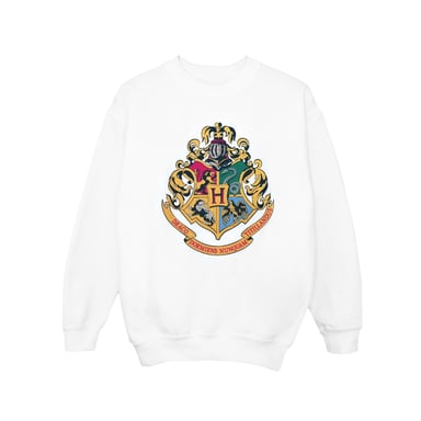 Harry Potter - "Hogwarts" Sweatshirt für Jungen (Weiß)