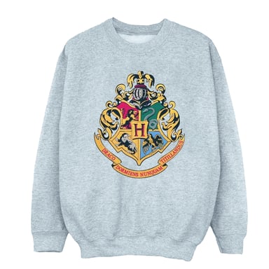 Harry Potter - "Hogwarts" Sweatshirt für Jungen (Grau)