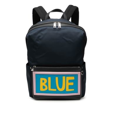 Gebrauchter Nylon-Vokabel Blau Rucksack