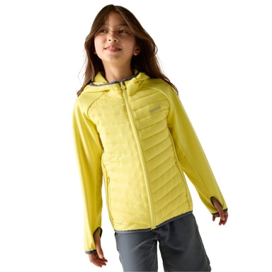Regatta - "Andreson" Steppjacke für Kinder, Hybrid (Kanarien-Gelb)
