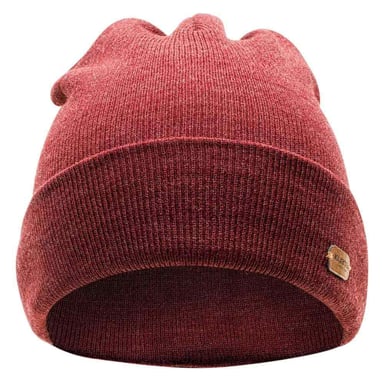 Iguana - "Seine" Wintermütze für Herren/Damen Unisex (Ziegelstein)