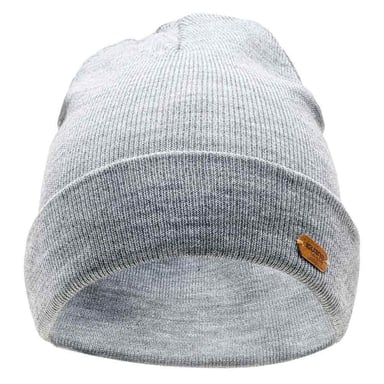Iguana - "Seine" Wintermütze für Herren/Damen Unisex (Grau)