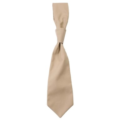 CG Workwear - "Messina" Krawatte (Khakigrün)