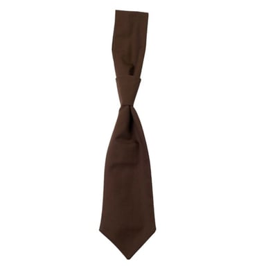 CG Workwear - "Messina" Krawatte (Toffee)