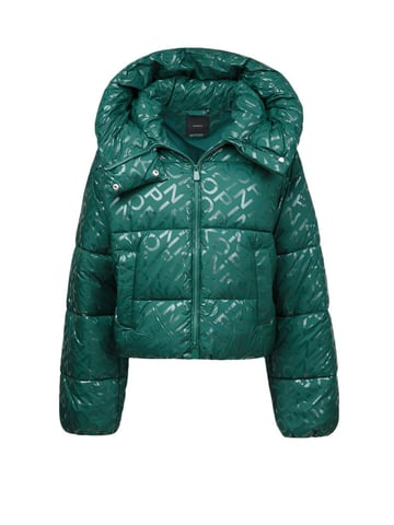 Pinko Winterjacke Grün