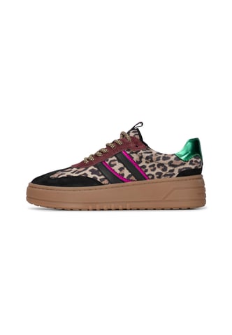PS Poelman "ANEMONE" Damen-trainer