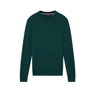 Ted Baker - Pullover für Herren, Merinowolle, Langärmlig (Grün)