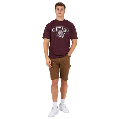 Brave Soul - Freizeitshorts für Herren (Braun)