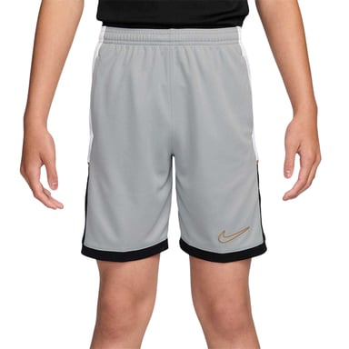 Nike - Shorts für Kinder (Grau/Gold)
