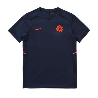 Nike - "Erling Haaland Academy" Fußballtrikot für Kinder (Blau/Gold)