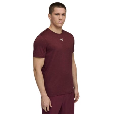 Puma - "Tad" T-Shirt für Herren, Performance, Fitnessstudio (Burgunderrot)