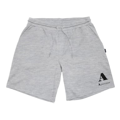 Aquascutum - Shorts für Herren (Grau)