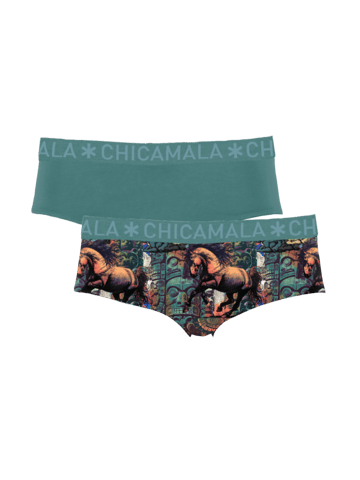 Chicamala Slips – 2er-Pack – Damenunterwäsche