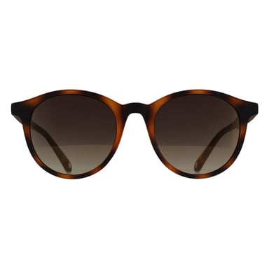 Ted Baker TB1503 Odell 173 Sonnenbrille in Schildpattbraun mit Farbverlauf
