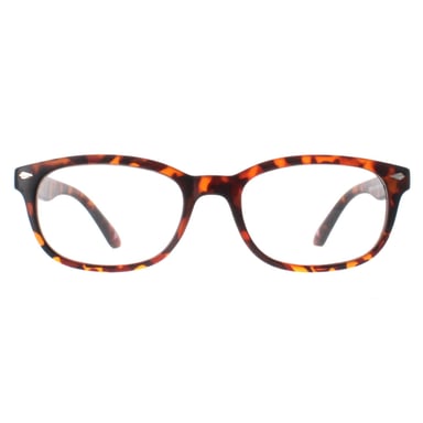 Montana MP70A Schildkr�te Lesebrille +1.50