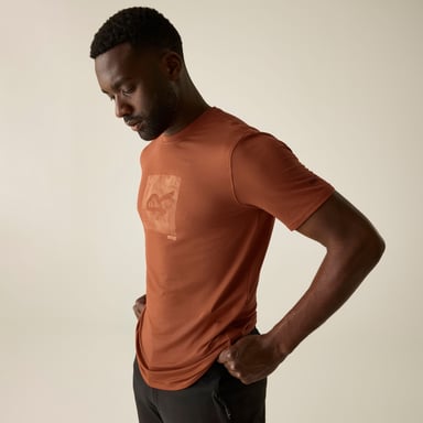 Regatta - "Fingal" T-Shirt für Herren, Logo, Stretch (Rooibos Tee)