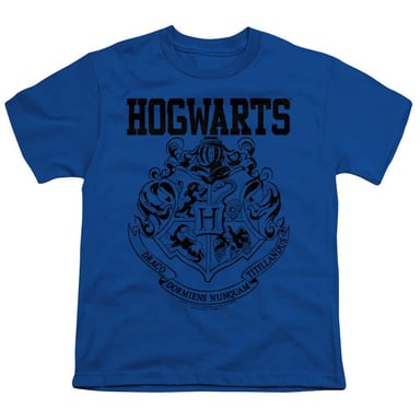Harry Potter - T-Shirt für Kinder, Athletisch (Königsblau)