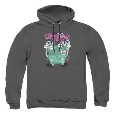 Scooby Doo - "Meddling Since 1969" Kapuzenpullover für Herren/Damen Unisex (Holzkohle)