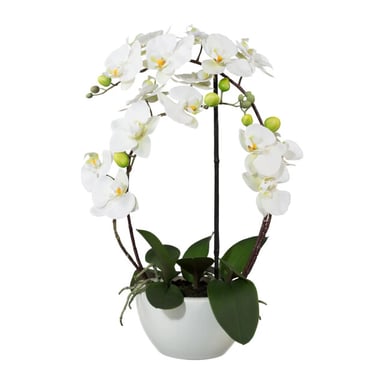 Kopu ® künstliche Orchidee 52 cm – in Keramiktopf Phalaenopsis