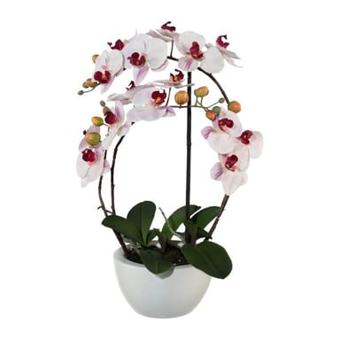 Kopu ® künstliche Orchidee 52 cm – weißer Keramiktopf Phalaenopsis