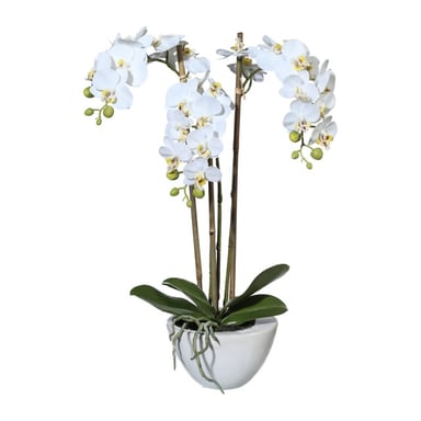 Kopu ® künstliche Orchidee 51 cm – in Schale Phalaenopsis