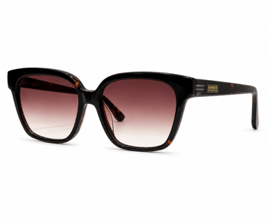 Barbour BI3005 C3 Sonnenbrille in Schildpatt