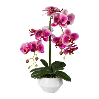 Kopu ® künstliche Orchidee 52 cm – weißer Topf Phalaenopsis