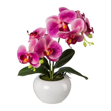 Kopu ® künstliche Orchidee 35 cm – weißer Topf Phalaenopsis