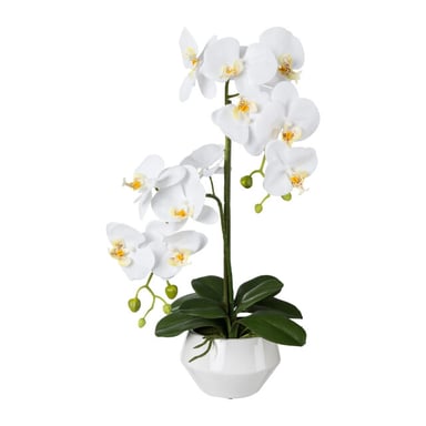 Kopu ® Kunstorchidee 52 cm – in keramischem Topf Phalaenopsis