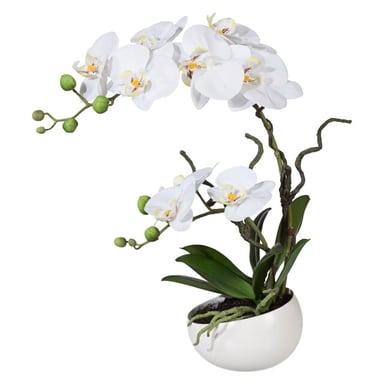 Kopu ® künstliche Orchidee 42 cm – in Schale, Phalaenopsis