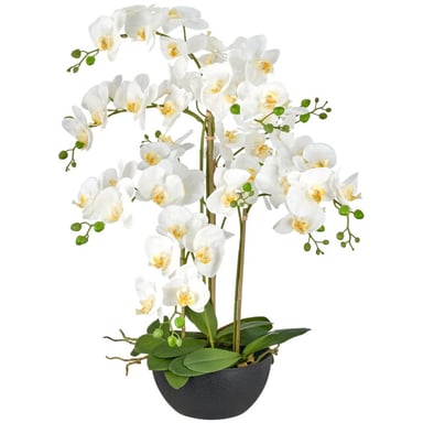 Kopu ® künstliche Orchidee 80 cm - schwarze Schale Phalaenopsis