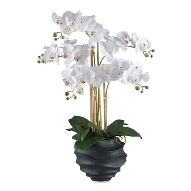 Kopu ® Kunstorchidee 70 cm – 5 Zweige schwarzer Topf Phalaenopsis